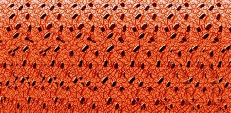 Downloaden Orangemagic Eye 3d Stereogram Bild