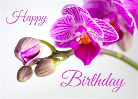 Happy Birthday mit Orchidee Geburtstagsgrüße für freund Alles gute