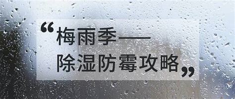 梅雨季除湿防霉全攻略 家庭除湿用品推荐什么值得买