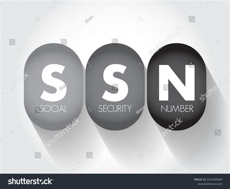 Ssn Social Security Number Acronym Concept Stock Vector Royalty Free