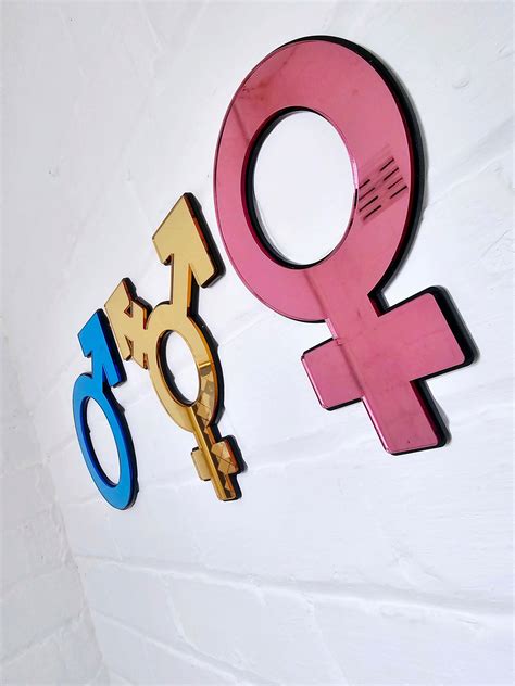 Female Male Transgender Sex Symbol Mirror Man Woman Trans Lgbtq Wall Art Boho Wall Art Decor