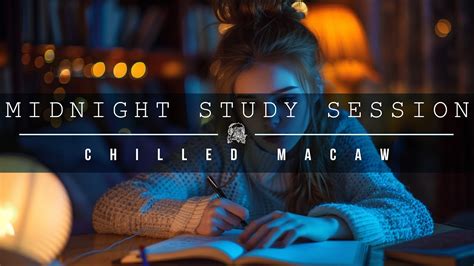 Midnight Study Session Chilled Macaw YouTube