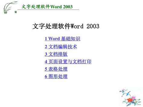 文字处理软件 Word2003课件word文档在线阅读与下载无忧文档