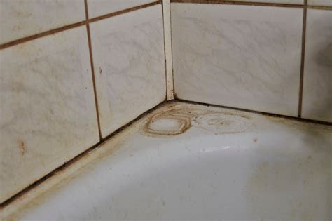 How To Remove Hard Water Stains From Tiles Myhomeware Blog