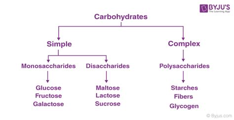 Carbohydrates Types