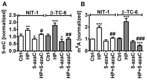 Cells Free Full Text Azacytidine Inhibits The Activation Of