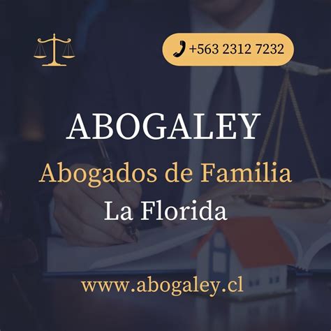 Abogados De Familia Abogaley Defensa Deudores Viña Del Mar