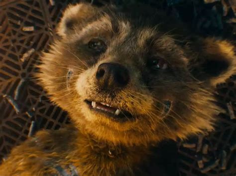 New Guardians Of The Galaxy Vol 3 Clip Reveals Rocket S Heartbreaking