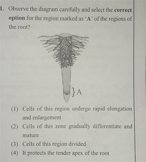 Observe The Diagram Carefully And Select The Correct Option For The Regio