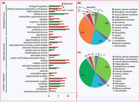 Classification Of All Identified Proteins And Deps A Go Analysis Of