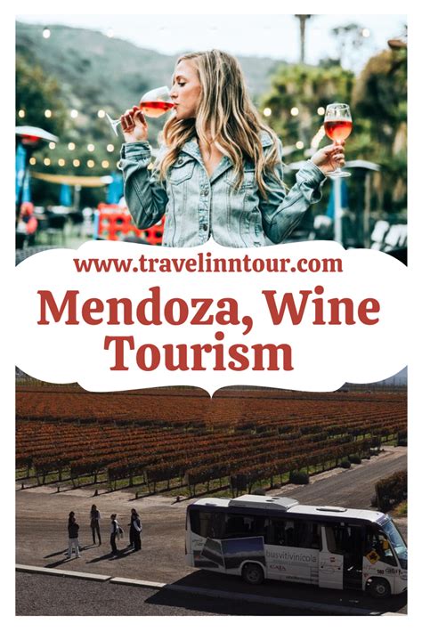 Mendoza Wine Tours, Rivers of Wine in Argentina | Wine tourism, South america travel ...