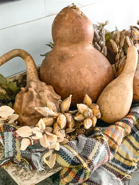 5 Beautiful Ways To Use Dried Gourds For Fall Decor Robyn S French Nest