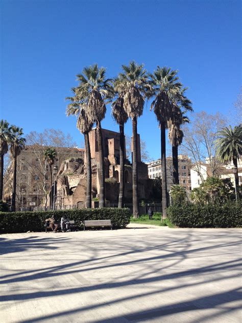 In Bici Per Roma Alberi Monumentali Di Roma