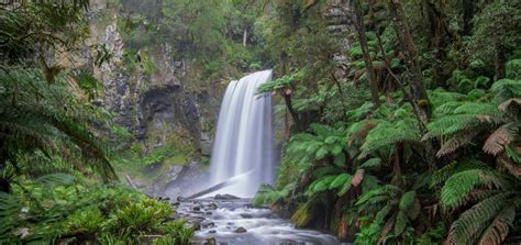 Great Otway National Park - Victorian National Parks ...