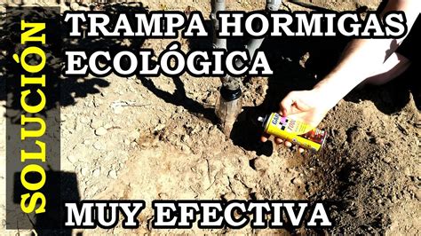 Trampa ecológica para hormigas hecha con una botella Para tronco de