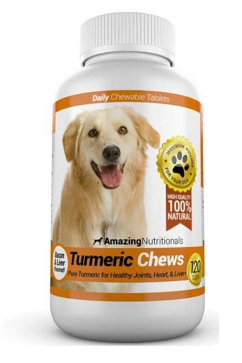 Turmeric For Dogs: Safety & Dosage Recommendations | Therapy Pet