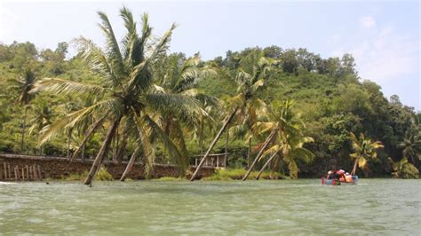 Pesona Sungai Maron Pacitan Nuansa Amazon Di Jawa Timur