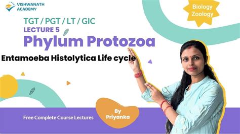 Entamoeba Histolytica Life Cycle Morphology Tgt Pgt Biology Youtube