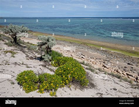 Southwest Madagascar Hi Res Stock Photography And Images Alamy