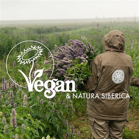 Natura Siberica - Cosmetica you