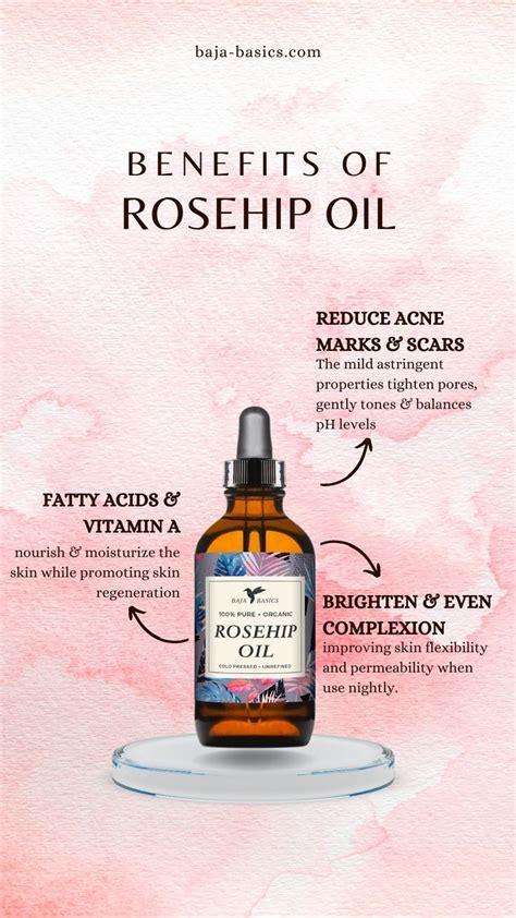 10 Best Rosehip Oil Anti Age Treatments Artofit