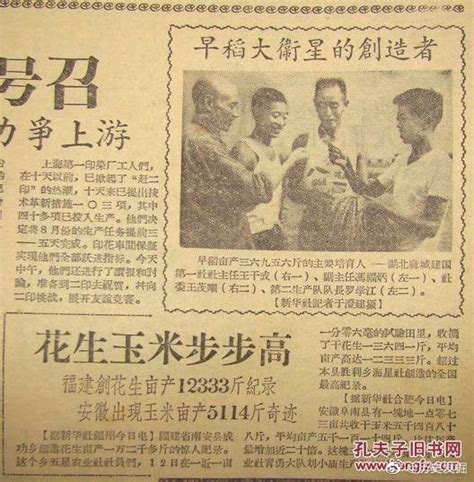 【历史照片】1958年8月15日新民晚报文章《早稻大卫星的创造者》。图片中所谓的几个亩产三万六千九百斤水稻的主要“创造者”正一本正经的在探讨水稻问题。