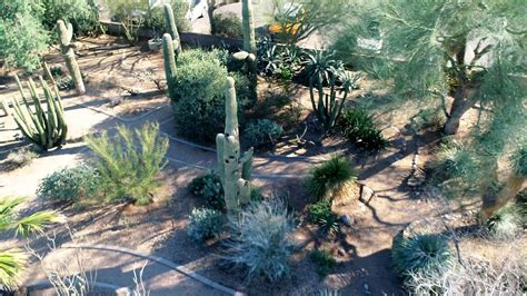 Have You Been Here Glendale Xeriscape Demonstration Garden Youtube