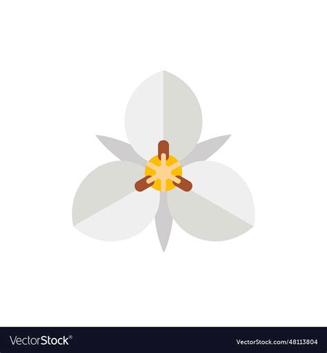 White mariposa flower icon Royalty Free Vector Image