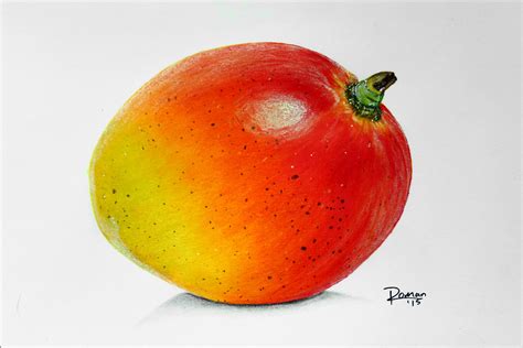 Mango Drawing With Color