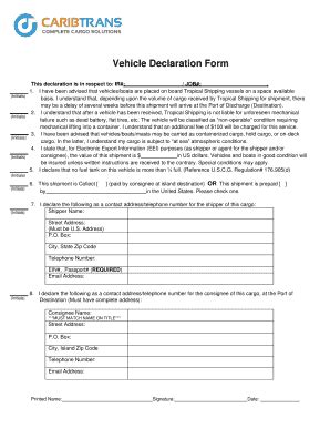 Vehicle Declaration Form Fill And Sign Printable Template Online