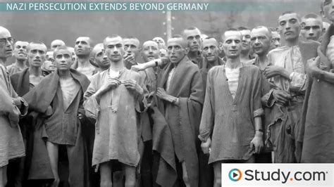 Aryan Breeding Camps Nazi Germany Telegraph