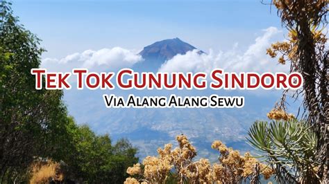 Tek Tok Gunung Sindoro Via Alang Alang Sewu YouTube