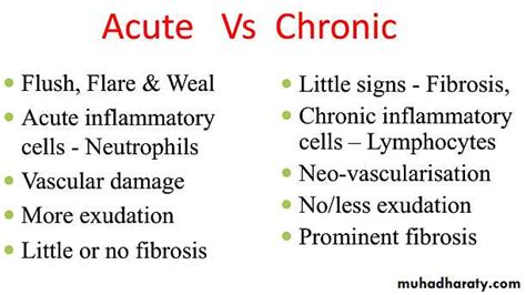 Acute Inflammation Pptx Muhadharaty