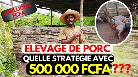 Comment se Lancer dans L élevage de Porc Avec un Budget de 500 000 FCFA