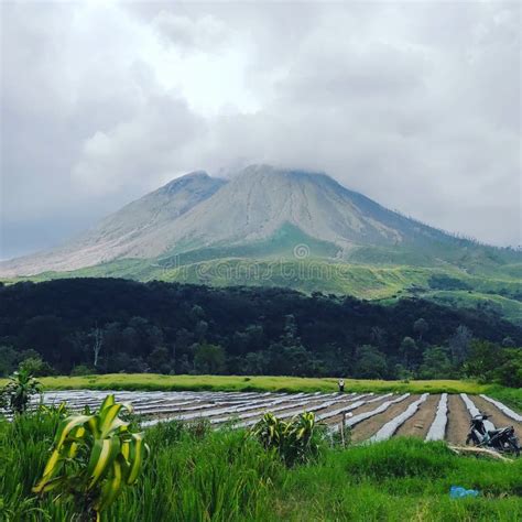 great mountain sinabung stock photo image  mountain