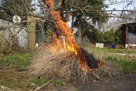 Entretien Jardin Ces 5 Interdictions Auxquelles Vous Devez Faire Face