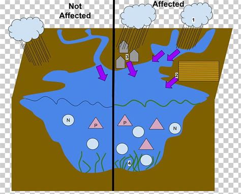 Nonpoint Source Pollution Stormwater Agriculture PNG, Clipart ...