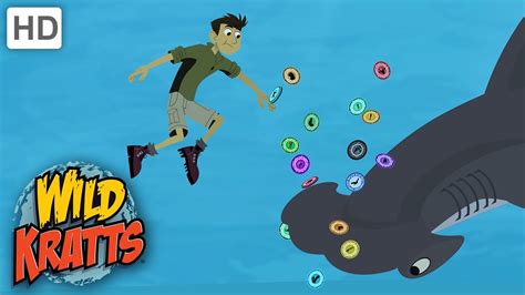 Wild Kratts Kratts Find A Hammerhead Sharks Youtube