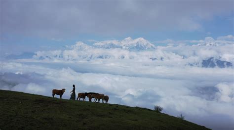 雪山、海子、星空、云海盘点甘孜绝美露营地 凤凰网