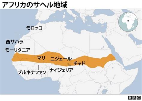 フランス、ニジェール駐留部隊を年内に撤収 大使も帰国 Bbcニュース