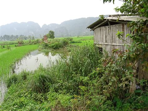 La Reprise Des Voyages Au Vietnam Est Effective Depuis Le Mars