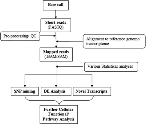 A Usual Flow Chart Of Bioinformatics Based Analysis Of Rna Seq Data