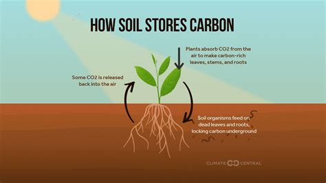 Solutions Series Capturing Carbon In Soil Climate Central