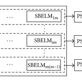 Structure Of Paired SBELM For Simultaneous Failure Diagnosis