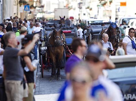 Donna Morsa Al Braccio Dal Cavallo Di Una Botticella In Piazza Di