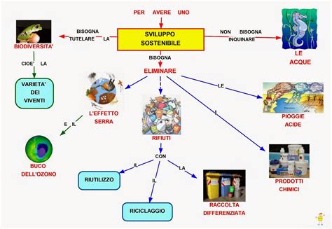Mappa Concettuale Sviluppo Sostenibile Scuolissima