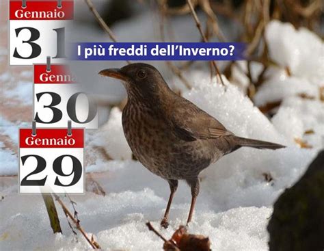 Meteo GIORNI DELLA MERLA i più freddi di tutto l Inverno Ora vi