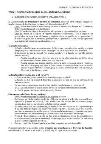 Derecho De Familia Y Sucesiones Pdf