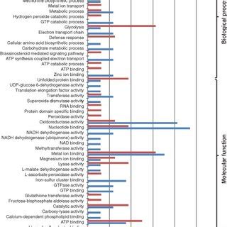 Functional Classification Of Proteins Identified By D Page And