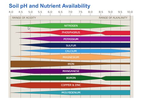 Ph Absorption Image Intrepid Potash